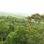 Saving a River System in Crisis: The Murray–Darling Basin and Australia’s Water Future