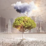 Uluru: A Guided Journey Through Australia’s Sacred Red Heart